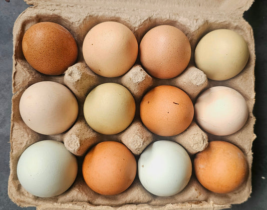 pasture raised eggs